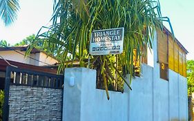 Triangle Home Stay